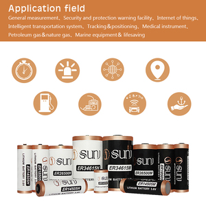 קיבולת גדולה <span class=keywords><strong>3.6v</strong></span> 19000mah d בגודל er34615h סוללות ליתיום ראשית עבור מטר