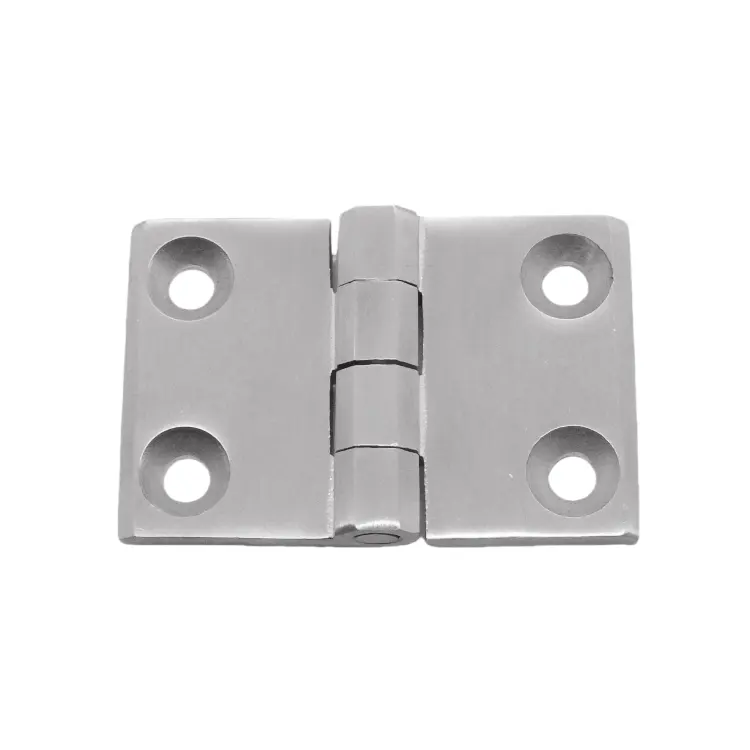 S.S cabinet enclosure leaf 50X76mm hinge with holes
