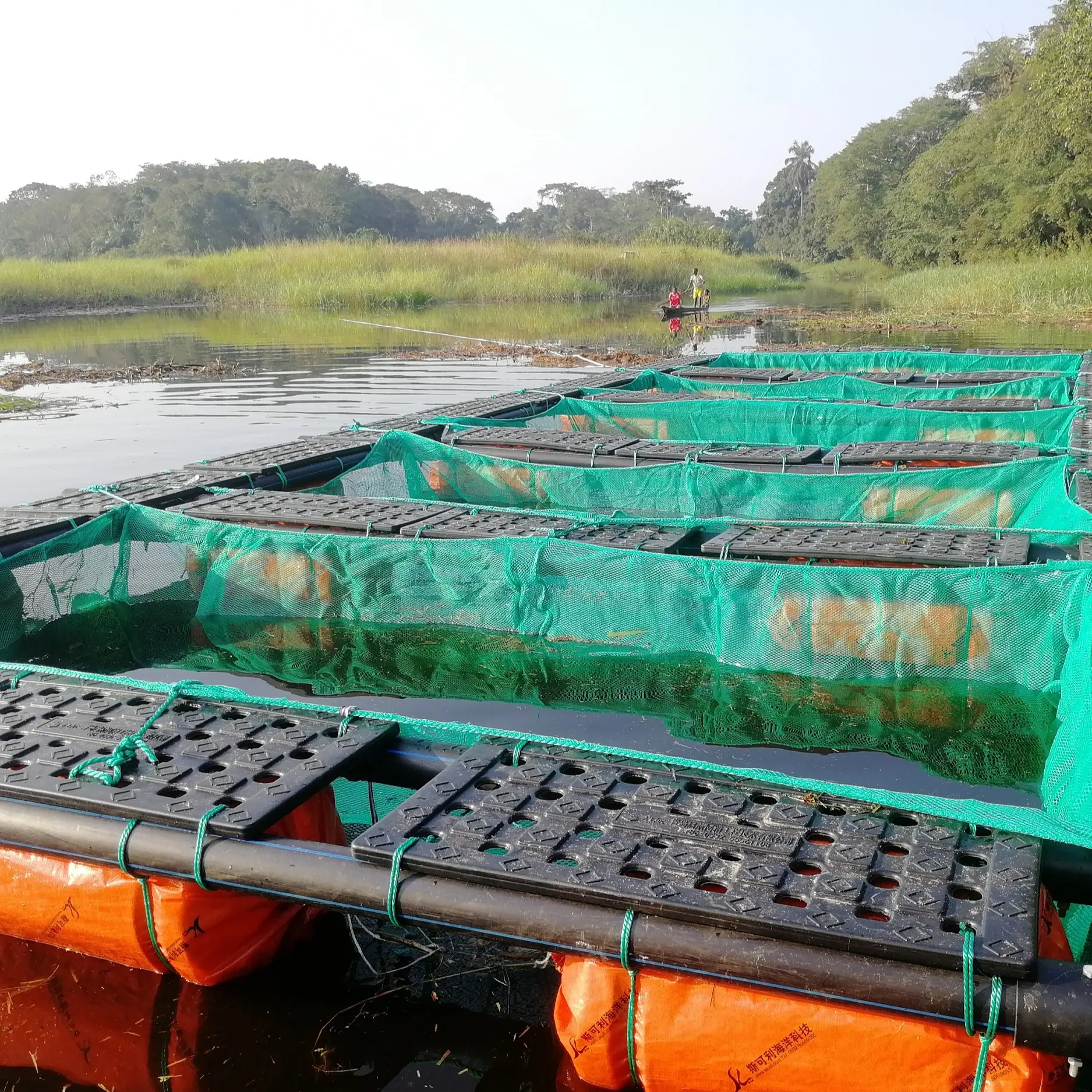 Jaulas flotantes de HDPE para pis-culture, cría de peces