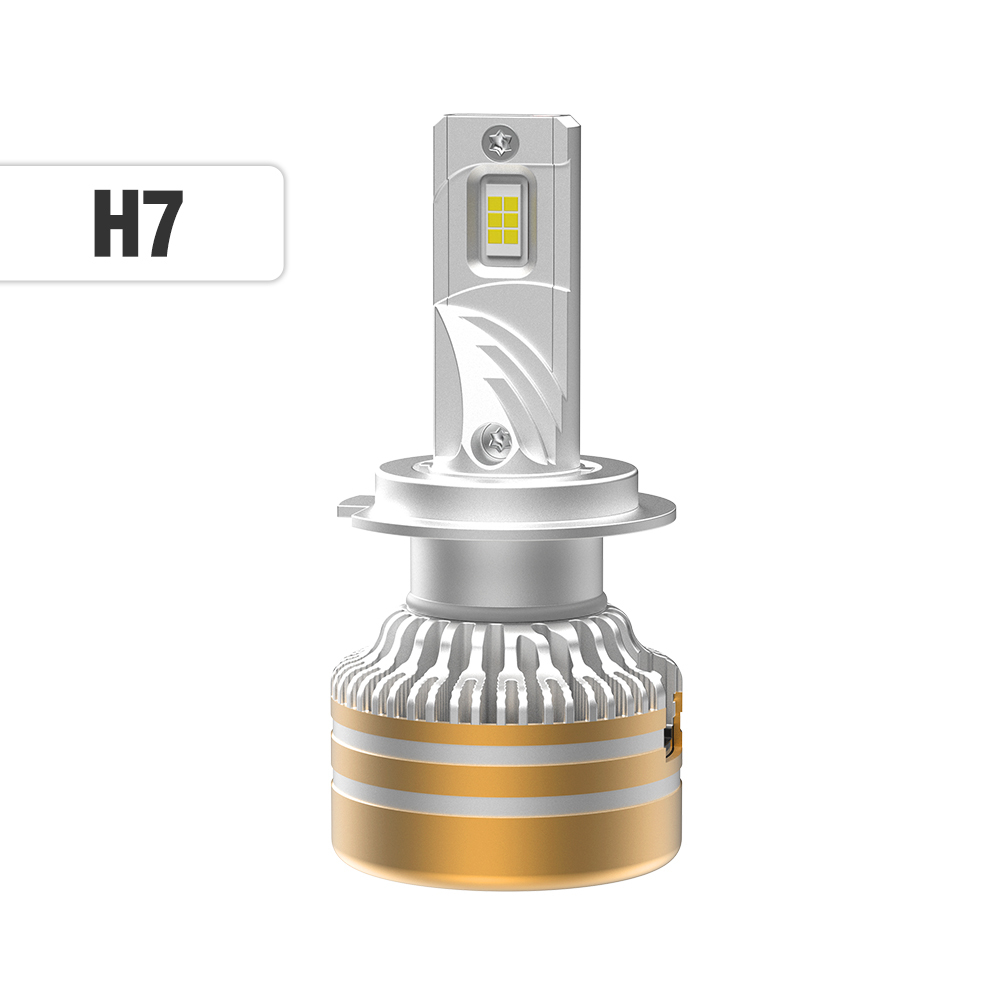 H7