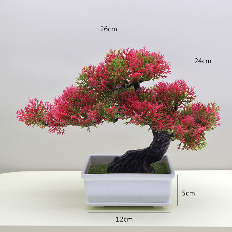 48 THuja Rojo Pino