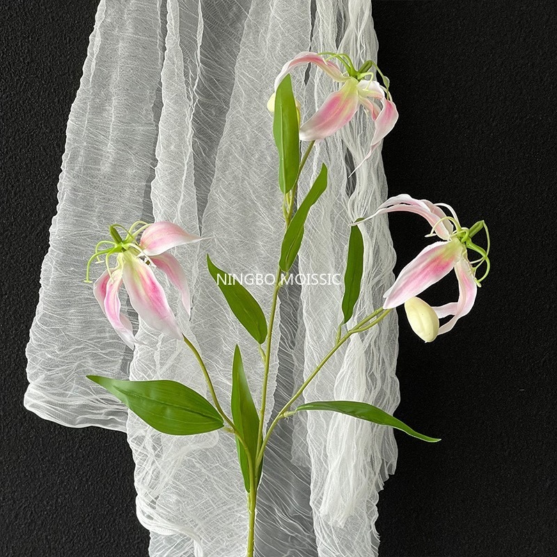Light Pink Flame Lily