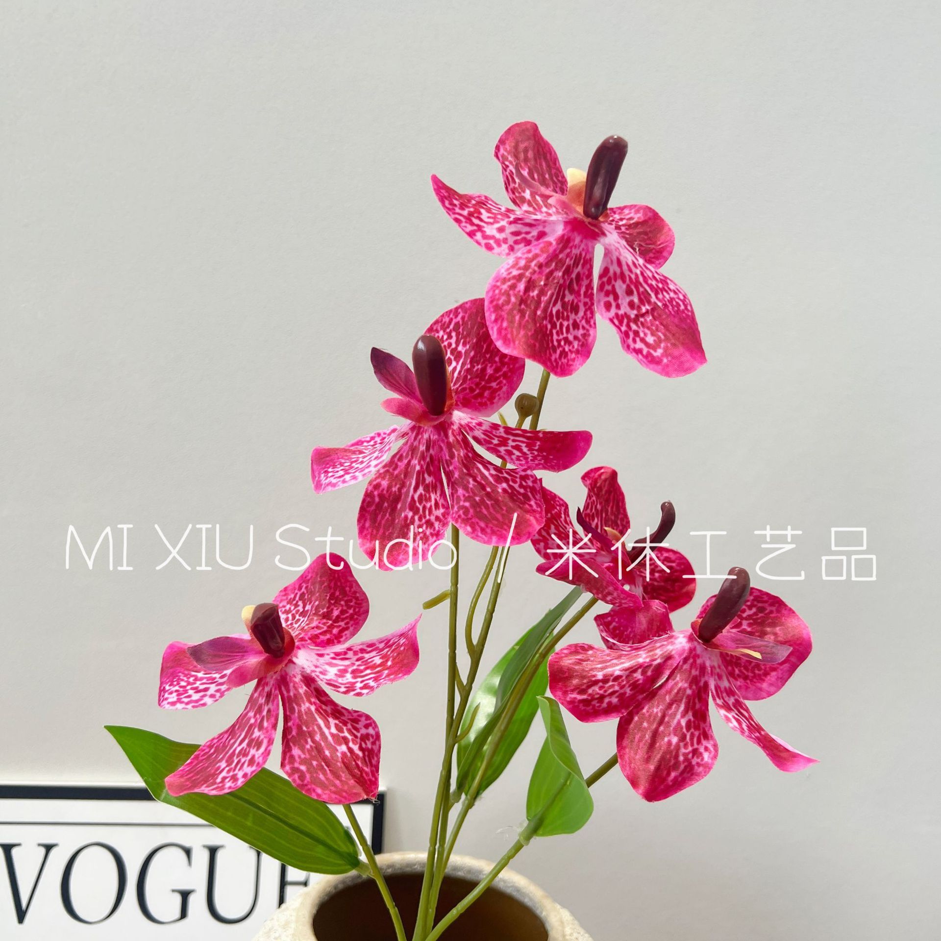 Orquídea