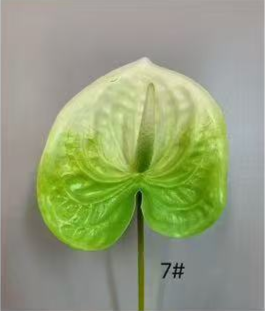 Color3