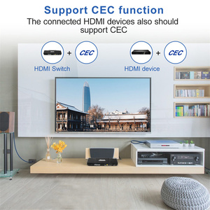 TESmart 2 Eingang 4 Ausgang HDMI Switch Splitter 2 X4 HDMI Matrix Unterstützung 4K 30HZ Unterstützung EDID CEC Video Switcher