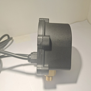 Chinese Intelligent Digital Pressure <strong>Control</strong> Switch <strong>LS</strong>-15 Hot Sale 1/4'' Pressure <strong>Control</strong> Digital Pressure Switch Controller - Product Image 5