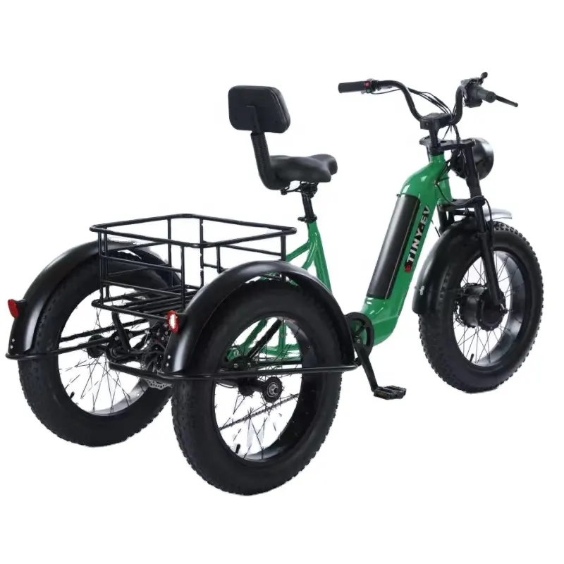 Тротрото bajaj мотоциклетный Чоппер, другие электрические трициклы 48 В 500 Вт, tuk bike, трейлер для велосипеда, грузовая рама для велосипеда
