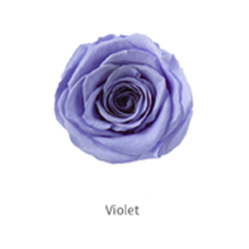 Violeta B Grado 8 Flores