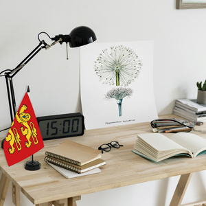 Normandy 14x21cm Table Flag Various <strong>Provinces</strong> in France Polyester Digital Printing - Product Image 5