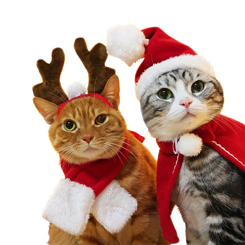 Sombrero de gato para perro, tocado, bufanda, capa de Navidad para mascotas, capa de Año Nuevo