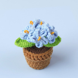 Blue-5 forget-me-not potted plants (mini woolen pots)