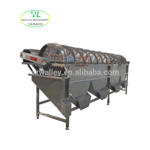 Anpassung der Automatisierung Seafood Rotary Drum Grader Hummer-und Jakobs muschel sortiermaschine - Product Image 5