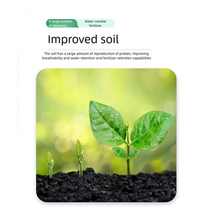 Nông nghiệp nước hòa tan <span class=keywords><strong>NPK</strong></span> 17-17-17 phân bón hữu cơ cho lĩnh vực cây cao tháp hạt trắng 40kg - Product Image 2