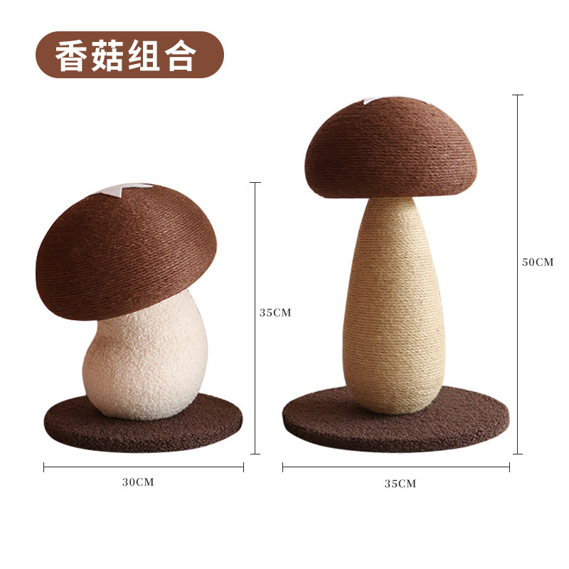 Combinación de hongos shiitake grandes y pequeños.
