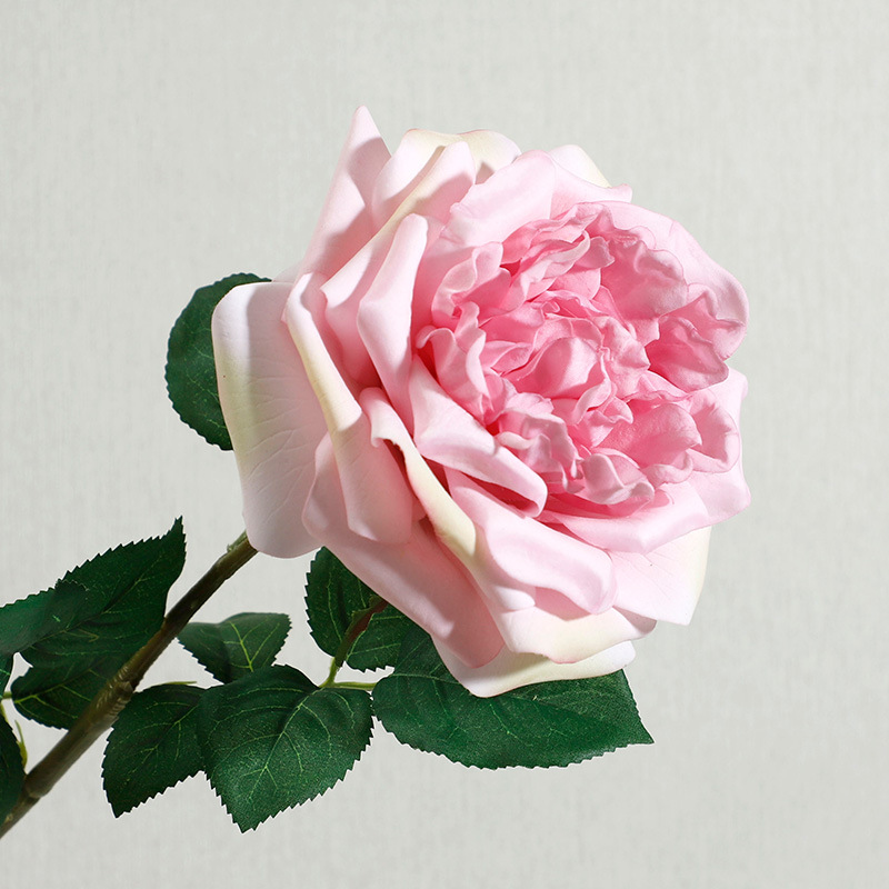 Pink3