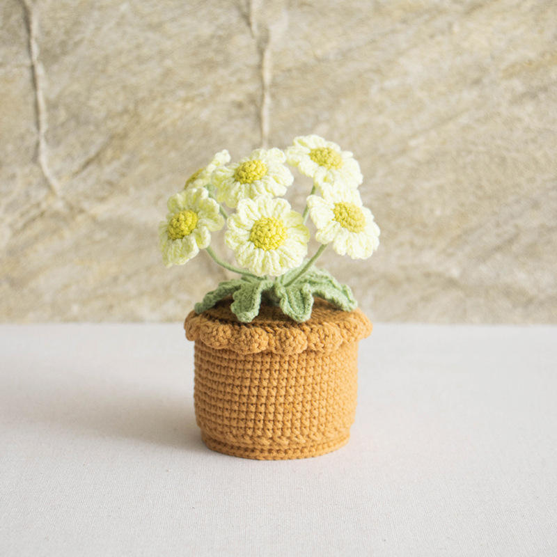 Multi-headed daisy-mustard green