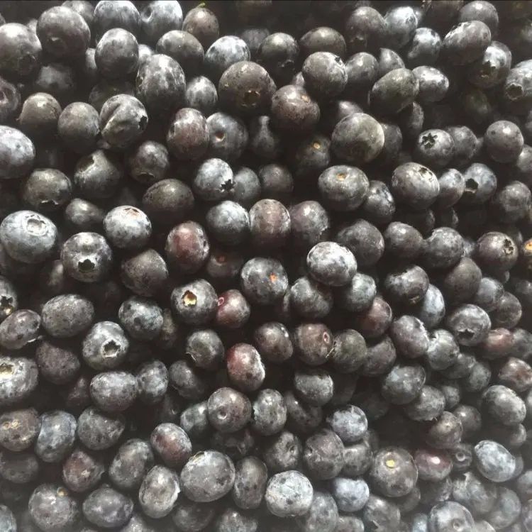 핫 세일 고품질 BRC 인증 IQF 냉동 블랙 베리 블루 베리 라즈베리 딸기