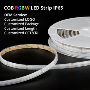 FCOB 5m 10毫米24V 12V RGBW发光二极管RGBW防水IP67 IP20照明RGB COB发光二极管条形灯户外景观灯带 - Product Image 6
