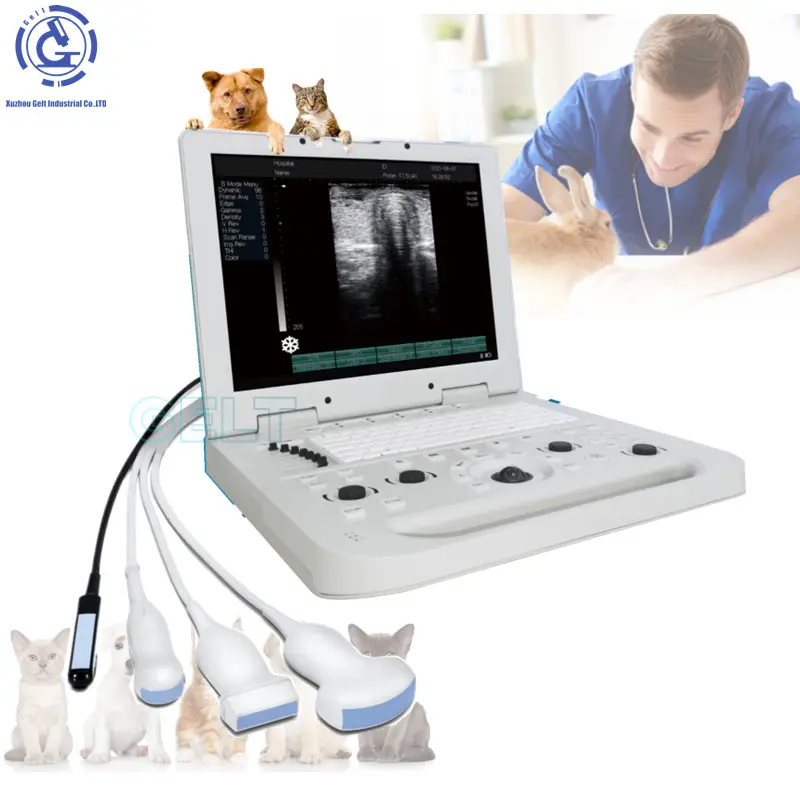 Machine à ultrasons abdominale vétérinaire USG radiologie animal de compagnie chiot chien