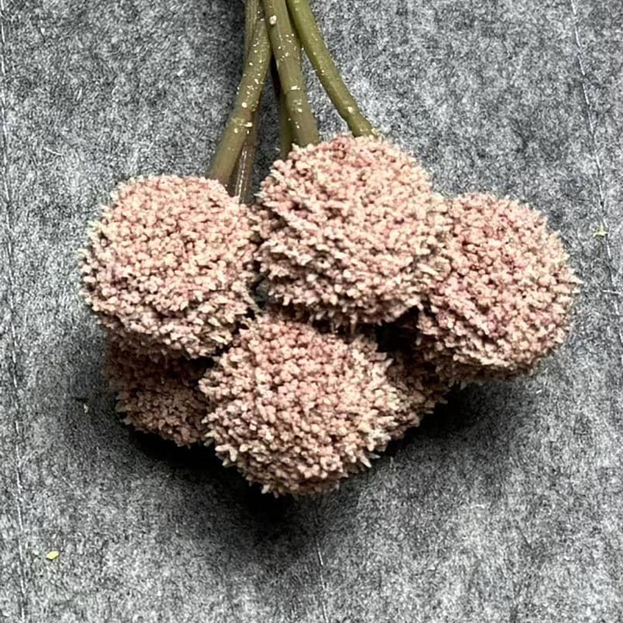 7 Stems 7 heads 62cm DustyPink
