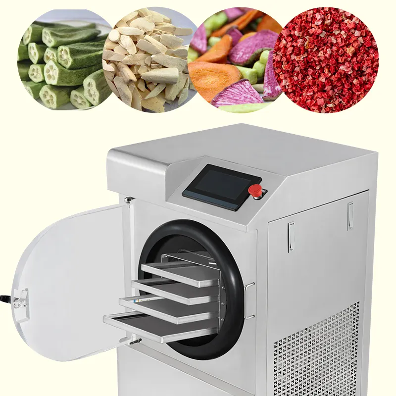 Vacuum freeze-drying equipment for household freeze-drying fruits and vegetables