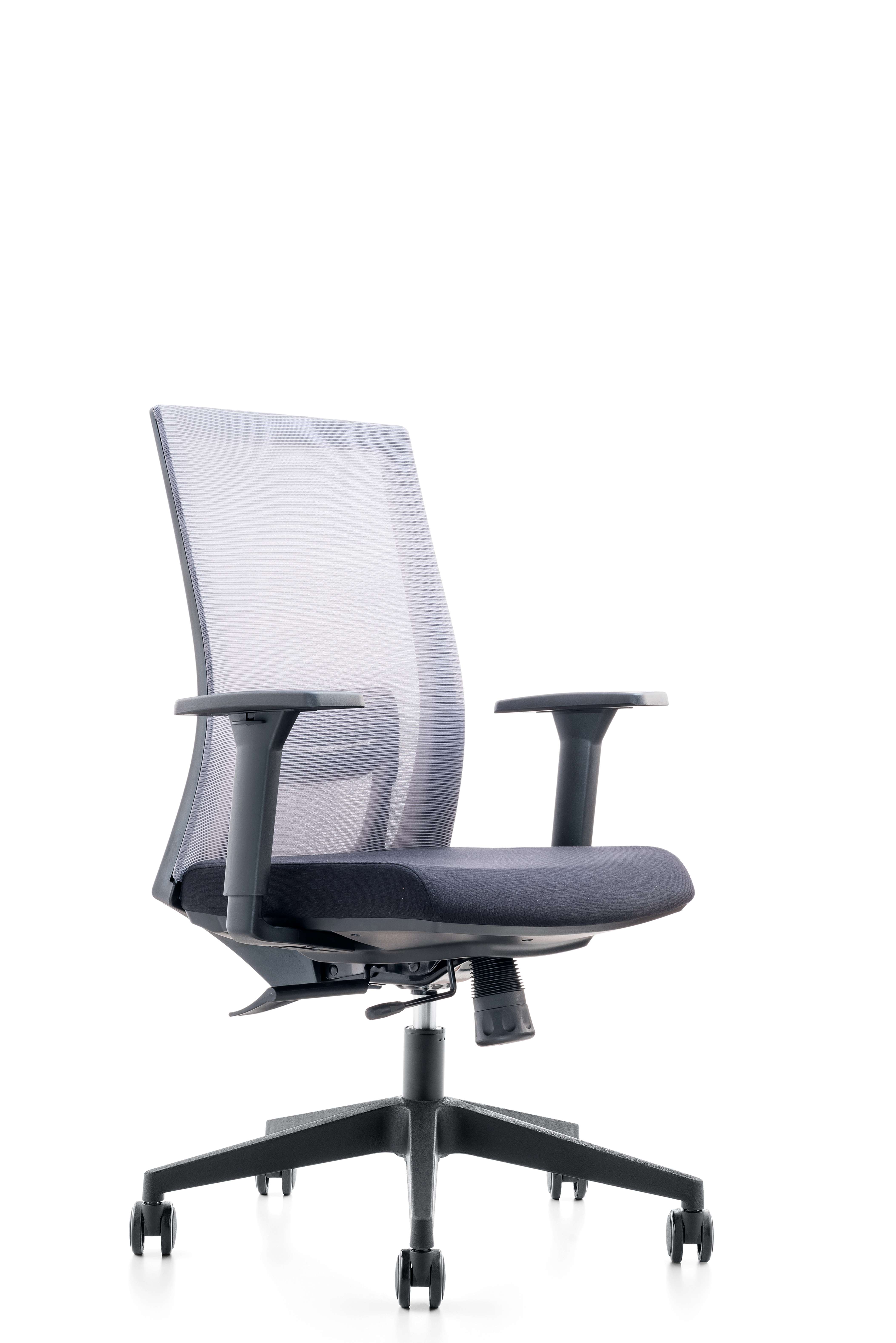 Gray-1 (Black Frame)