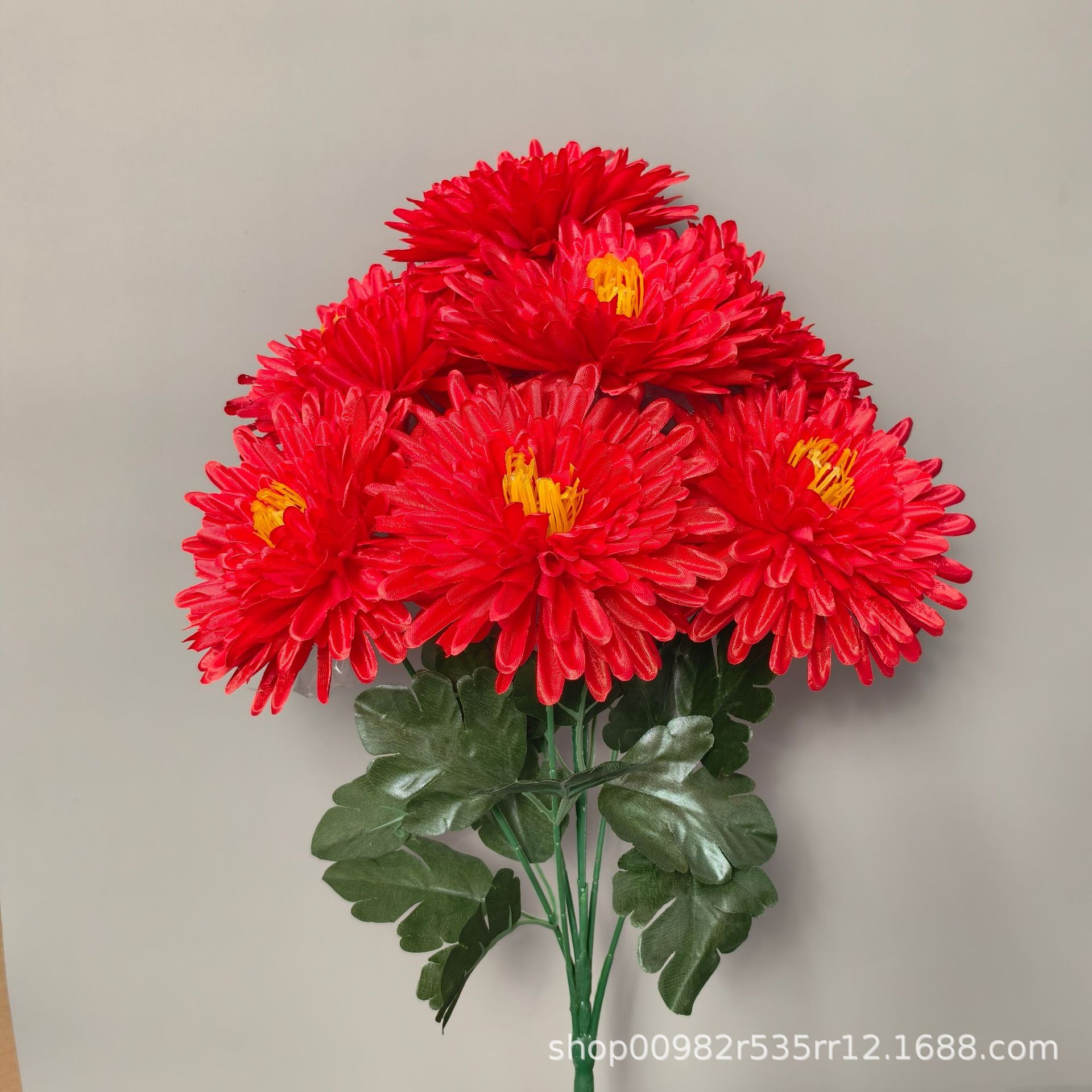 Chrysanthème à aiguilles rouges