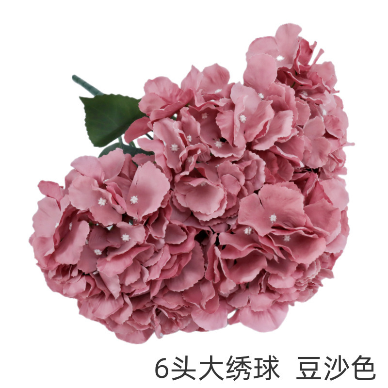 6 gros hortensias, couleur mauve