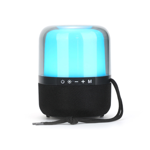 Radio FM Tarjeta TF Sistema de audio TWS Carcasa transparente RGB Luz colorida Altavoz inalámbrico portátil BT 5,3 - Product Image 3
