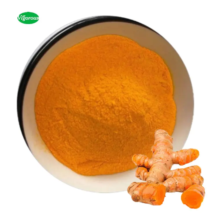 Haccp organik ücretsiz örnek zerdeçal kök ekstresi Curcuma longa ekstresi 95% Curcumin