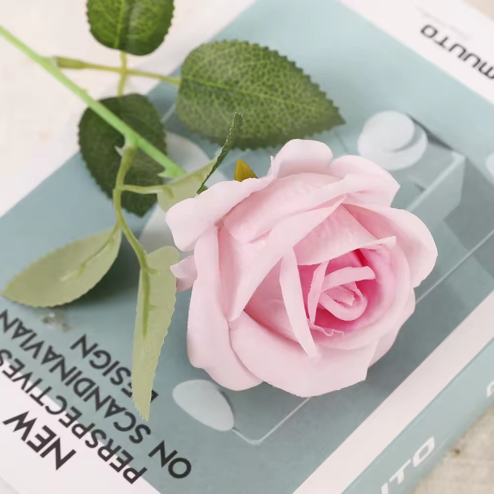 Rosa