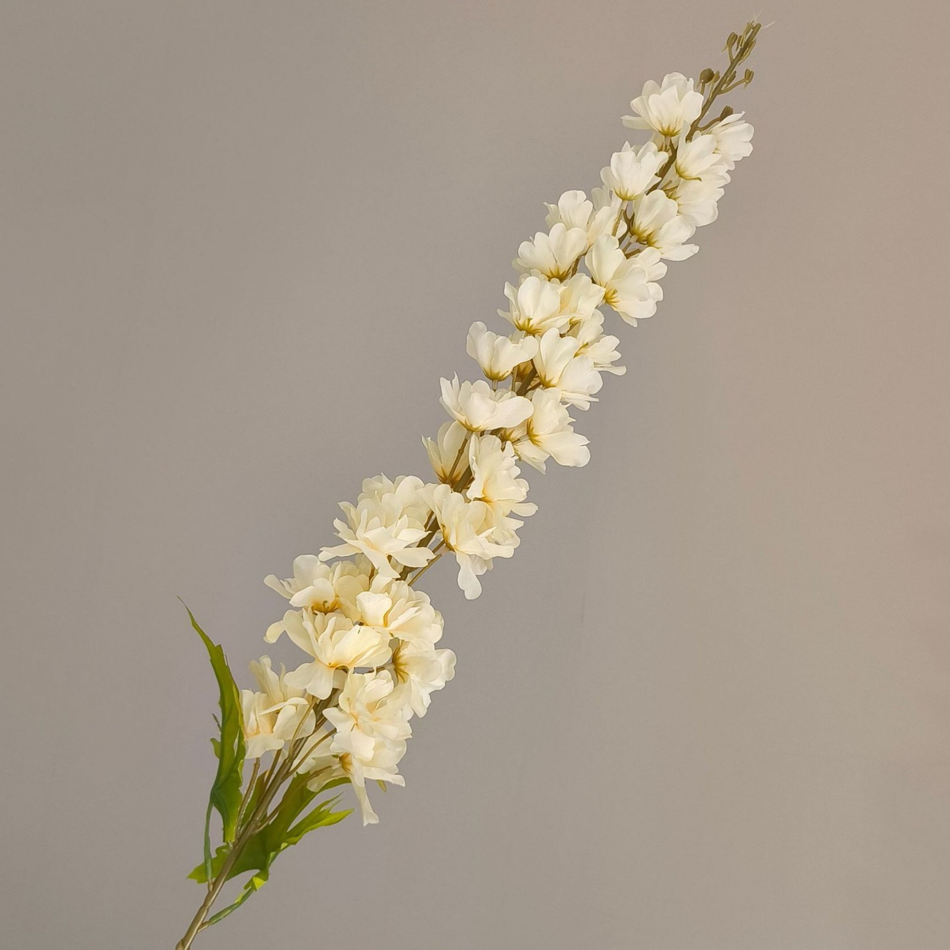 Feiyan-Champagne-120cm