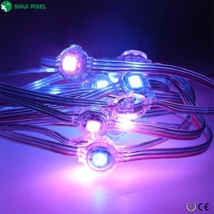 アドレス指定可能な屋外装飾WS2815SK6812ピクセルLED 10mm 12V5V防水IP67RGBLEDピクセルライトストリング - Product Image 5