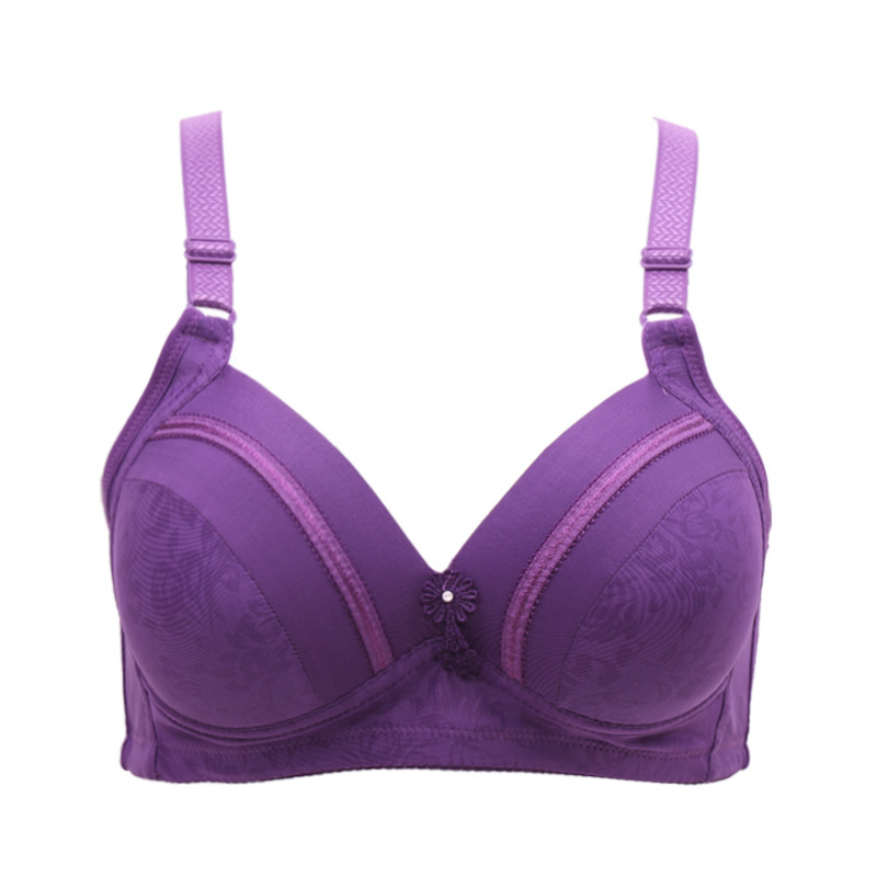 Viola
