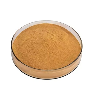 สารสกัดจากดอดเดอร์สารสกัดจากฝัสคัท10:1ความบริสุทธิ์สูง - Product Image 3