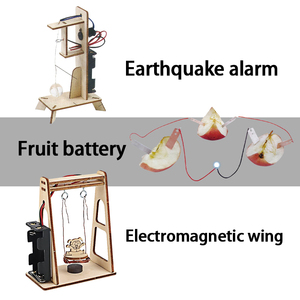 Đồ chơi giáo dục bằng gỗ bán buôn 10 trong 1, bộ thí nghiệm điện tự làm, đồ chơi xếp hình khoa học STEM cho trẻ em - Product Image 3