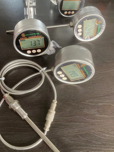 Digitales Kapillar thermometer PT100 Ausgang Anpassbarer Temperatur messgerät Sensor OEM unterstützt - Product Image 5