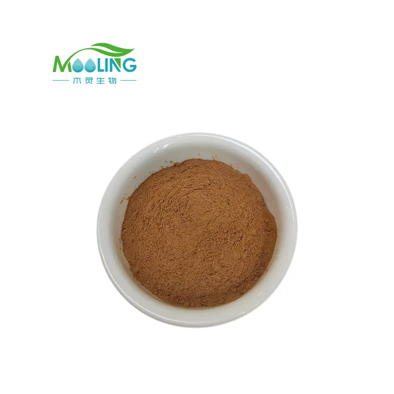 Top Quality Cimicifuga Racemosa Extract Black Cohosh Extract Cimicifuga Racemosa Powder