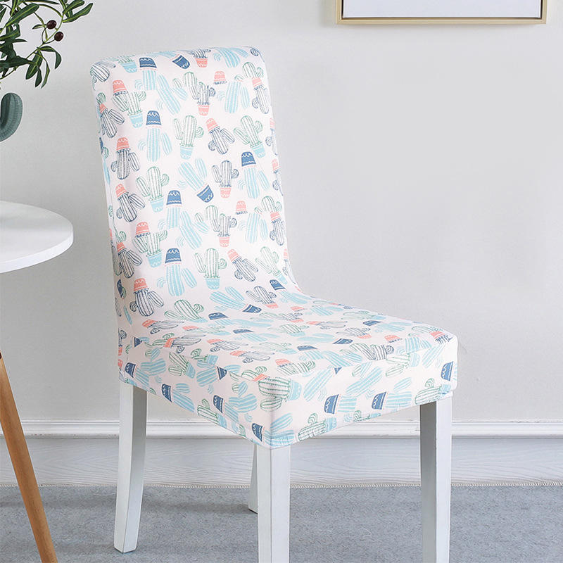 Cactus - one size fits all