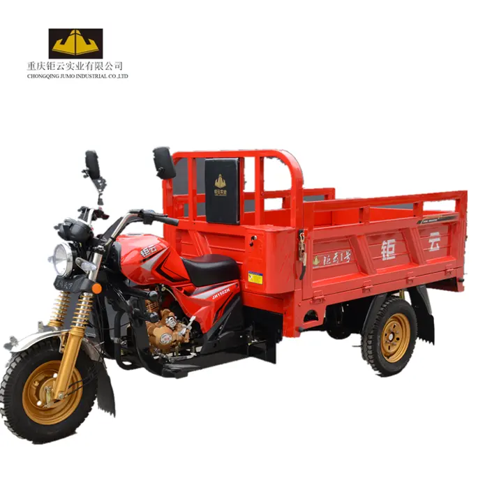 Vendita calda personalizzabile 3 ruote del triciclo, carico di moto per il carico