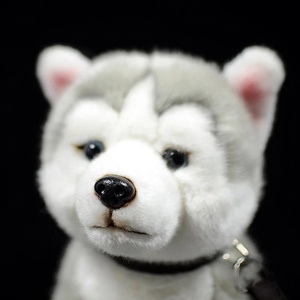 ぬいぐるみに座っているリアルなシベリアンハスキー犬リアルな灰色の犬子犬ぬいぐるみ