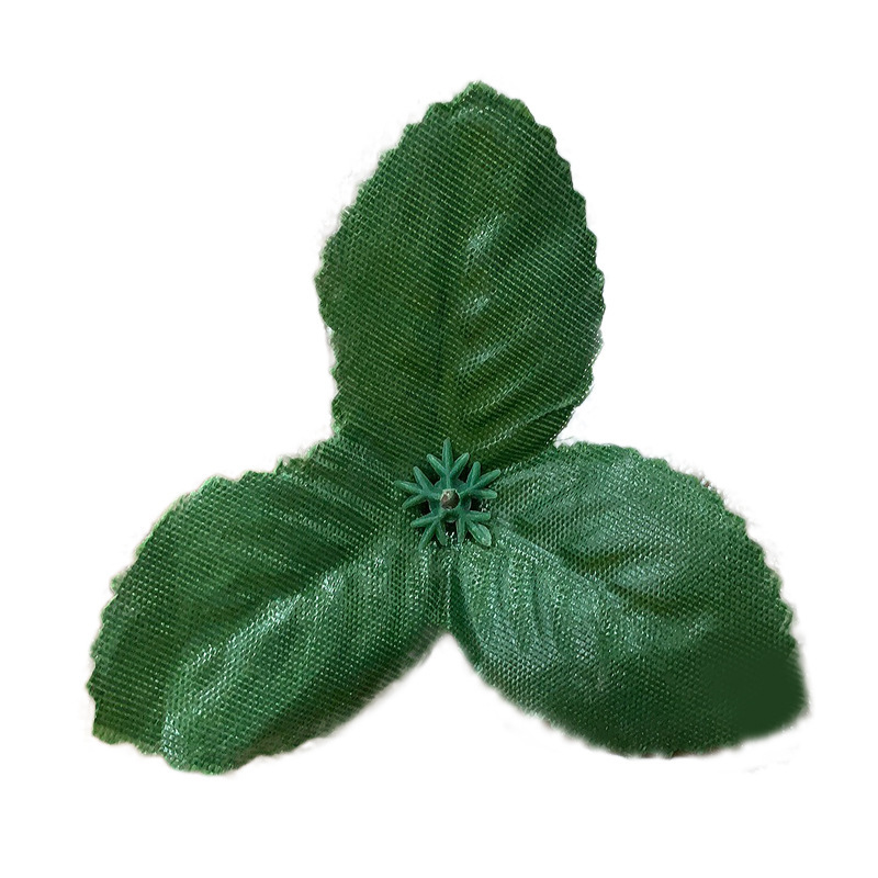 500 g de feuilles triangulaires vert foncé