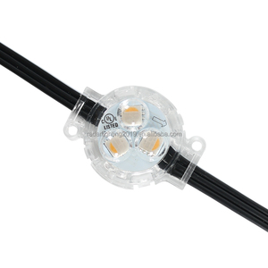 RGBW smart wifi controller per esterni luce a led permanente per decorazioni natalizie - Product Image 1