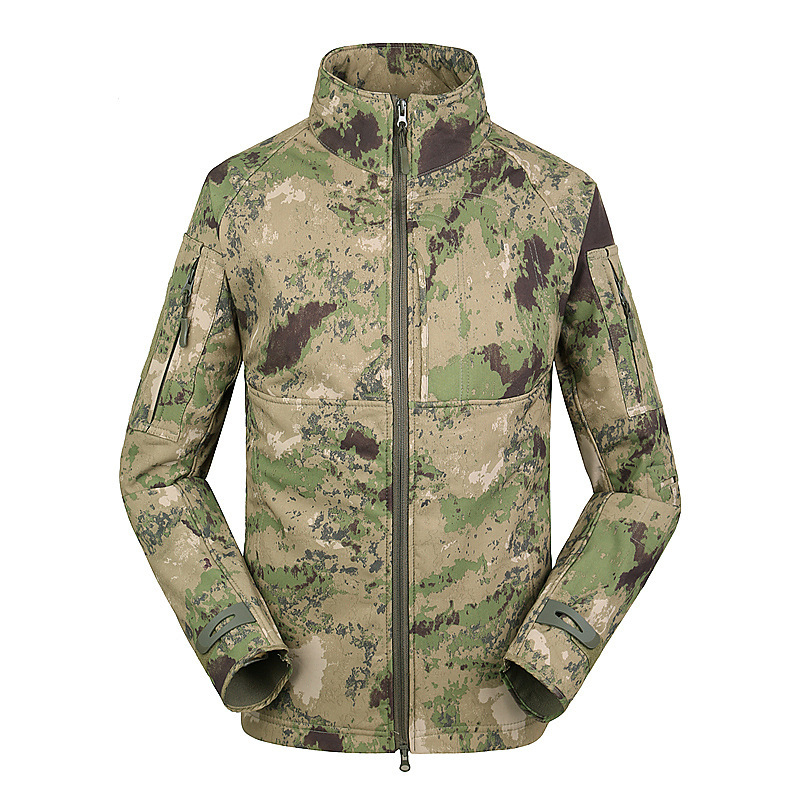 Couleur camouflage 4