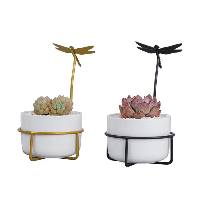 Hot Ceramics Succulent Pots Cactus Plant Flower Pot Mini Porcelain Planter with Dragonfly Iron Stand for Garden Home Decoration