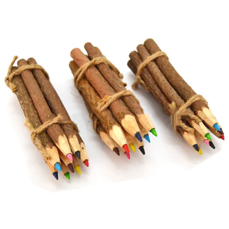 Crayon de couleur en bois de brindilles naturelles promotionnelles de branche pour le logo personnalisable