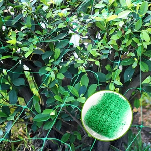 HDPE Plastic <strong>Trellis</strong> <strong>Netting</strong> Green Color Plant Support <strong>Net</strong> for Garden - Product Image 6