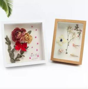 Diy Plant Specimen Display square 2 Inch Deep Shadow <strong>Box</strong> Frame White Black 4 Frame Color <strong>10x10</strong> Shadow <strong>Box</strong> Frame - Product Image 6