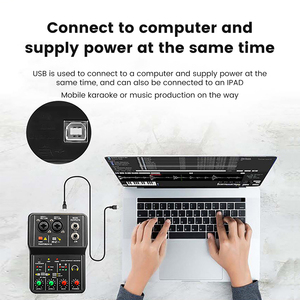 Mini interfaz de audio Consola de sonido profesional Grabación de 2 canales y arreglo Tarjeta de sonido USB - Product Image 4