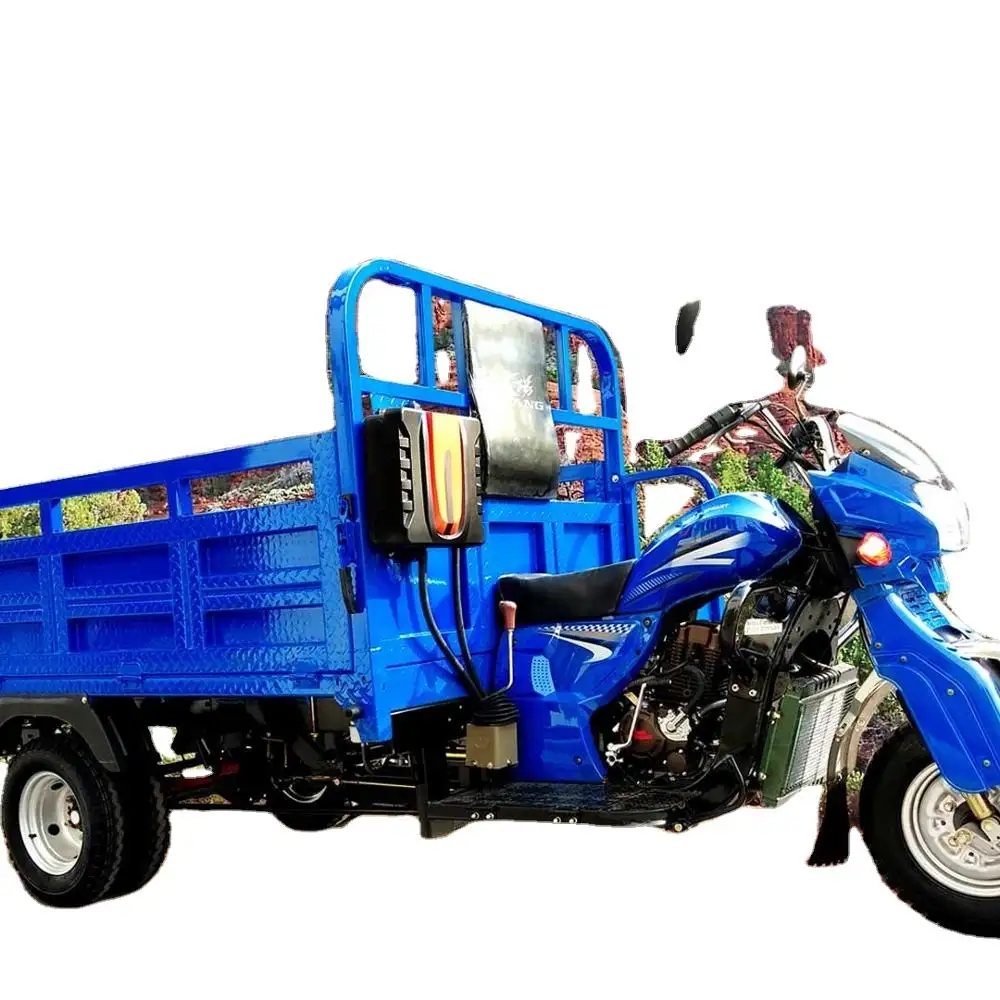 200CC/250CC/300CC الثقيلة تحميل شاحنة بمحركات دراجة ثلاثية للتنقل الثقيلة تحميل ترايك دراجة ثلاثية العجلات المصنوعة في الصين